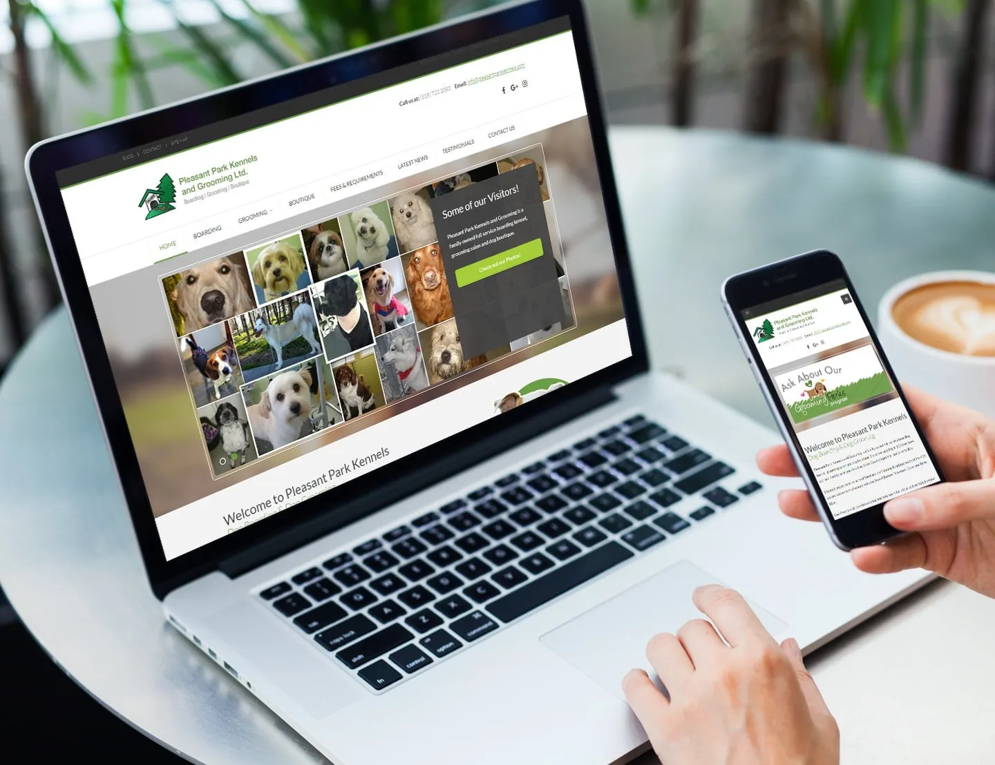mainstream marketing portfolio pleasant park website